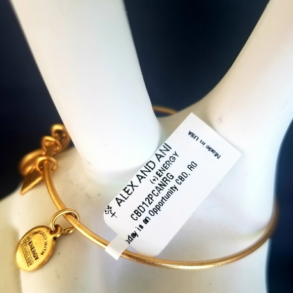NWT Alex and Ani Today is an Opportunity Bracelet - Picture 3 of 5